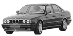 BMW E34 P0248 Fault Code